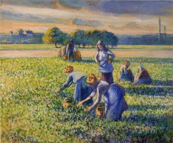 Camille Pissarro : Picking Peas II